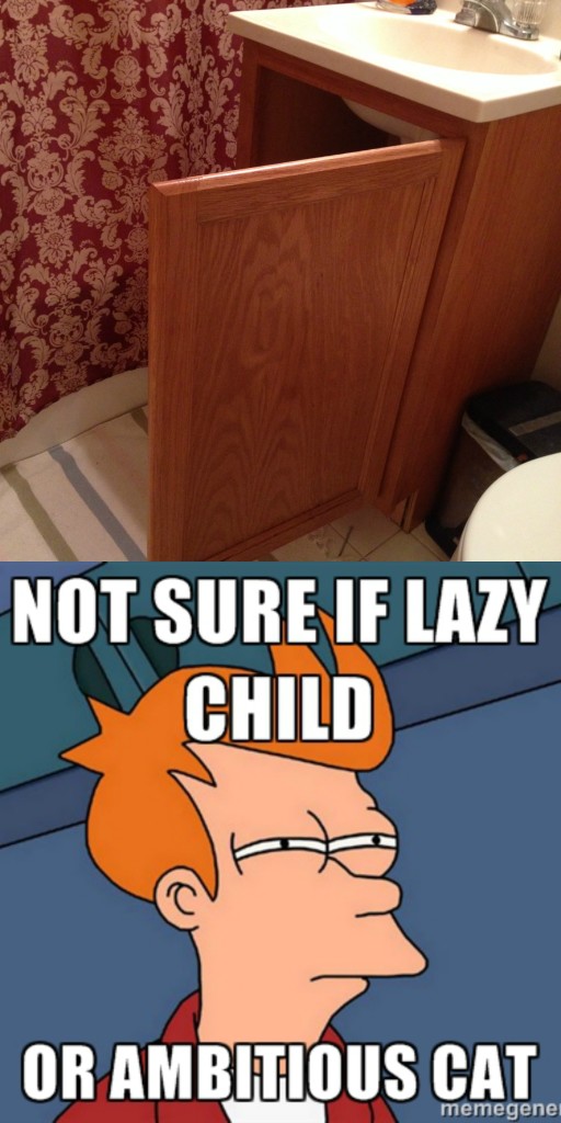 Lazy Child with Fry